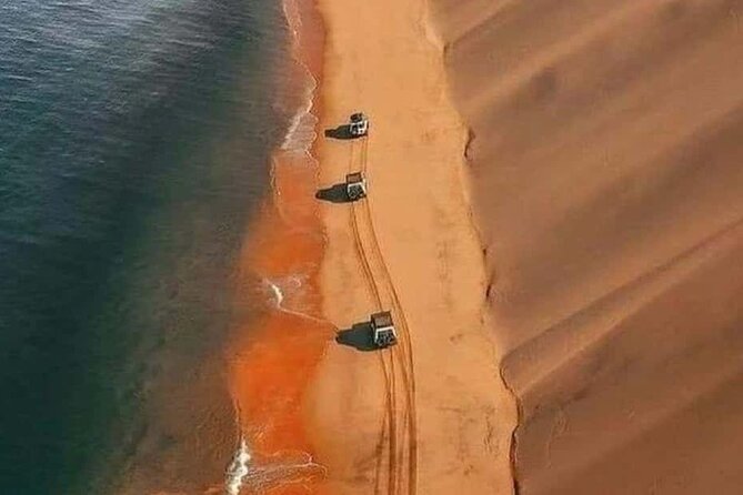 Doha Quad Bike, Dune Bashing, Camel Ride and Inland Sea Tour - Sandboarding at Sealine: Beginner-Friendly Fun and Quick Photos
