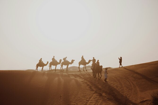 Doha Quad Bike, Dune Bashing, Camel Ride and Island Sea Tour - Quad bike rules in Qatar desert: tracks vs dunes