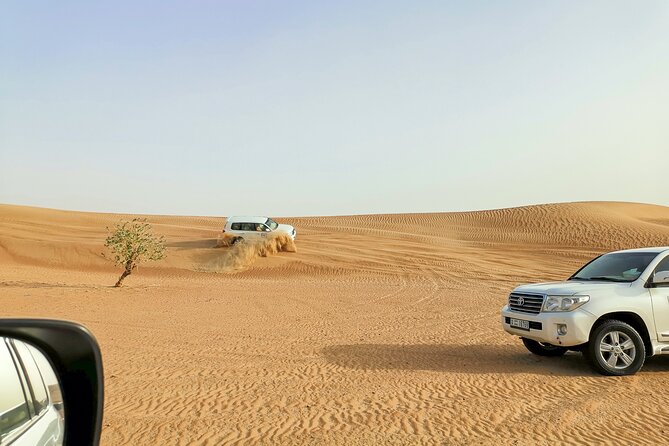 Doha Quad Bike, Dune Bashing, Camel Ride and Island Sea Tour - Camel ride and falcon moments: the cultural stop people remember