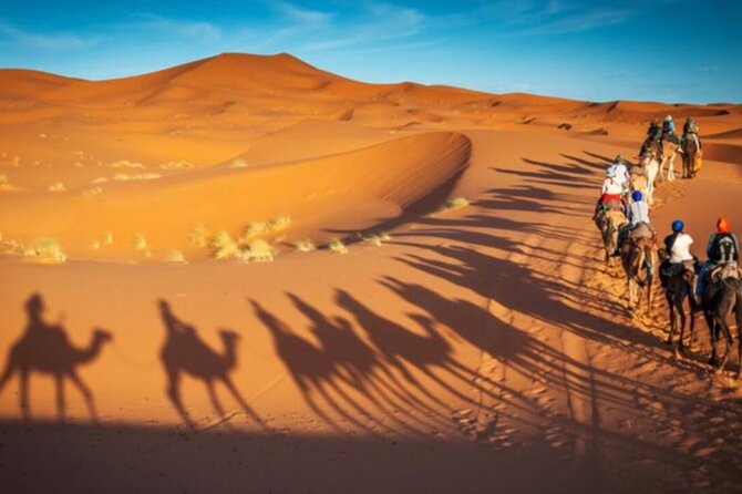 Doha Quad Bike, Dune Bashing, Camel Ride and Island Sea Tour - What is included in the $100 price, and what you pay for separately