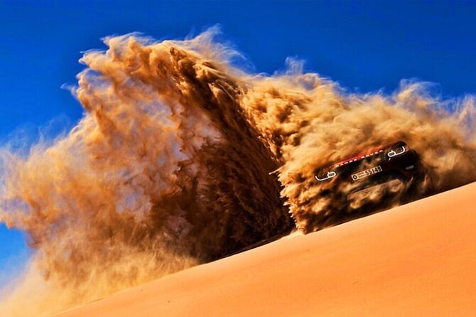 Doha Quad Bike, Dune Bashing, Camel Ride and Island Sea Tour - Private group energy, plus guides who control the chaos