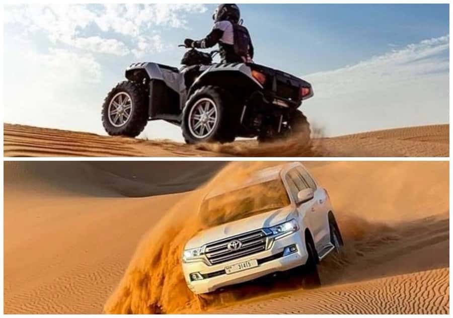 Doha: Quad Bike, Dune Bashing, Camel Ride & Inland Sea Tour - Who this tour fits best in Doha