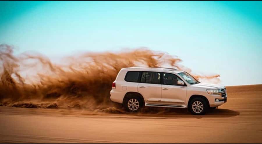 Doha: Relax Desert Safari, Camel Ride, Inland Sea, Swimming - Key highlights you will feel right away
