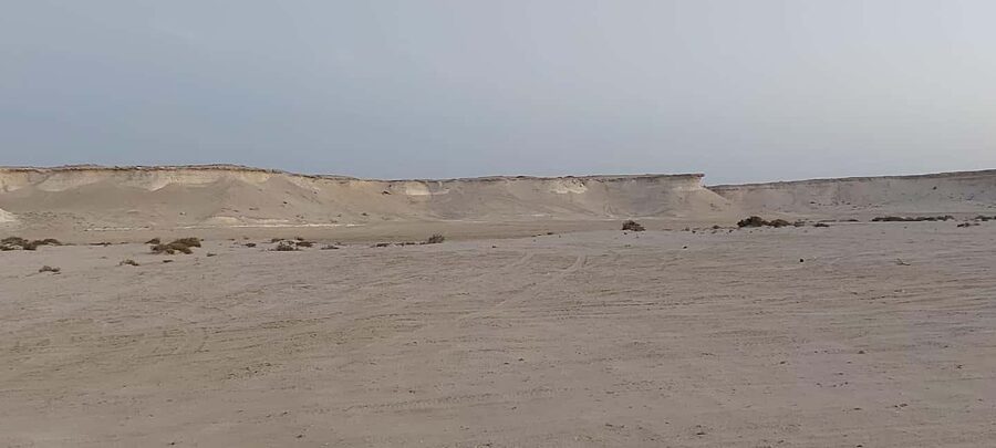 Doha; Richard Serra Installation, Mushroom rock and Zekreet - A Private 4-Hour West Coast Circuit From Doha