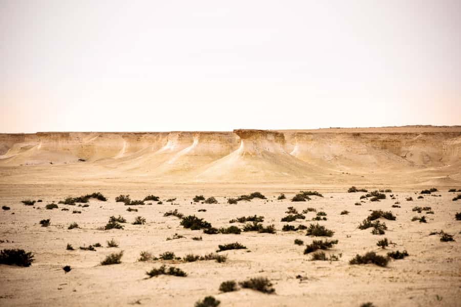 Doha: Richard Serra Sculpture,Mushroom Hill,Camel Race Track - Richard Serra in the desert: four steel plates over a kilometer