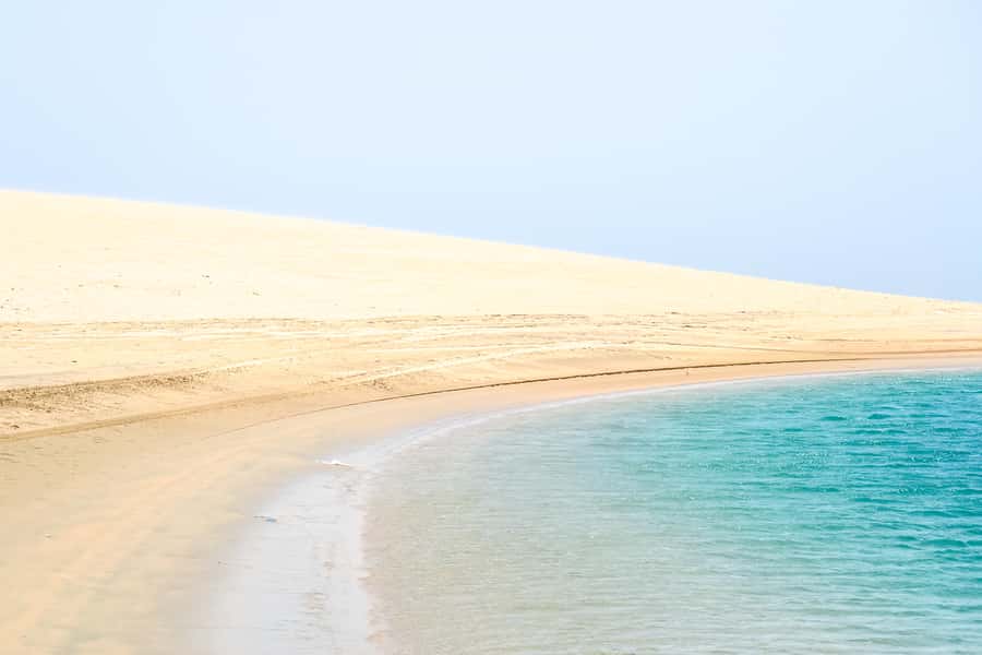Doha: Safari, ATV, Camels, Sandboarding and Inland Sea Tour - Sandboarding: The 20-Minute Rush You’ll Actually Remember
