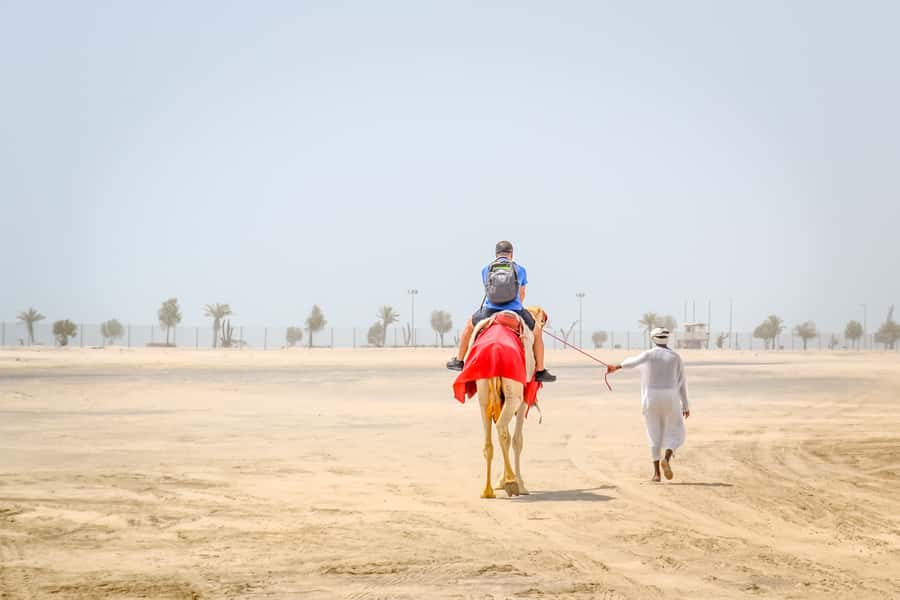 Doha: Safari, ATV, Camels, Sandboarding and Inland Sea Tour - What to Bring (and What to Skip) for Comfort