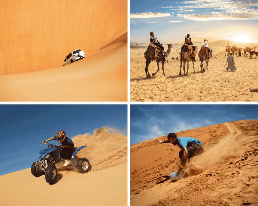 Doha: Safari, Camel Ride, Sandboarding and Inland Sea Tour - Camel photos and the optional camel ride: culture in a short stop