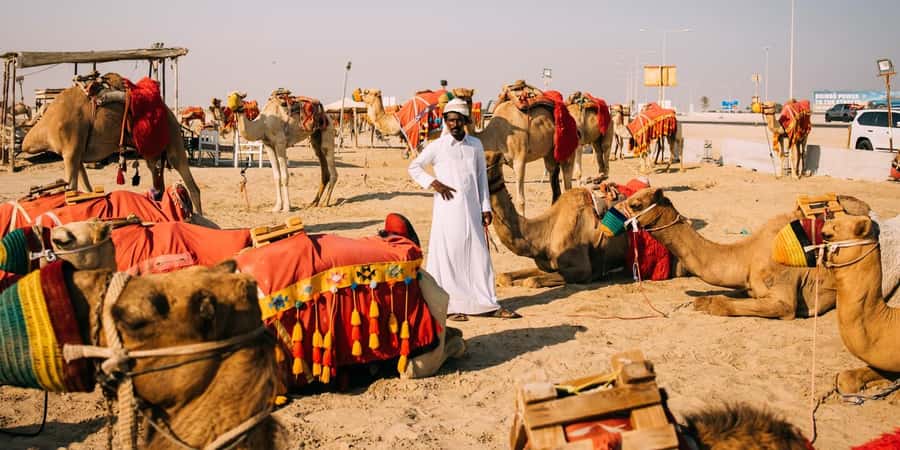 Doha: Safari, Camel Ride, Sandboarding and Inland Sea Tour - Who Should Book This Doha Desert and Inland Sea Tour, and Who Might Pass