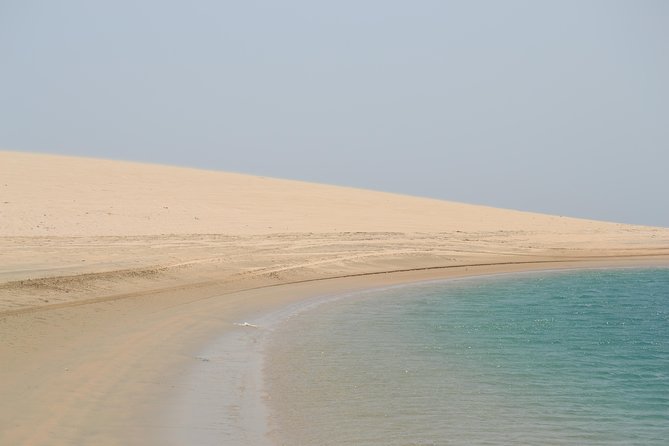 Doha: Safari, Dune bashing, Camel Ride, Sandboarding & Inland Sea - Camel Ride: A Quick Desert Moment, Not a Long Trek