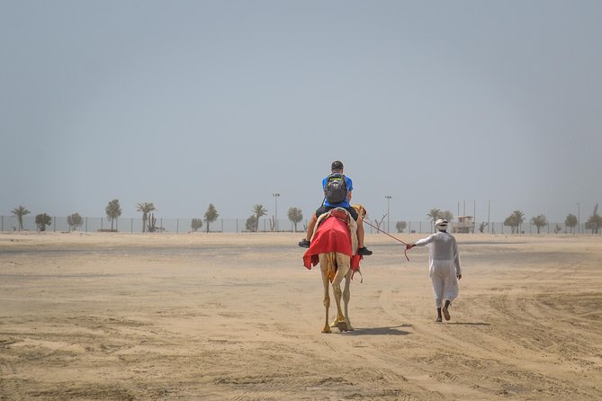 Doha: Safari, Dune bashing, Camel Ride, Sandboarding & Inland Sea - Morning Versus Afternoon: Choosing the Right Time to See the Desert