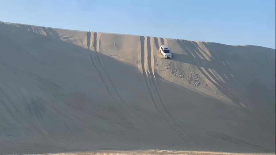 Doha: Safari | Inland Sea Tour | Camel Ride | Sandboarding - Doha to the Inland Sea, Why This Half-Day Works