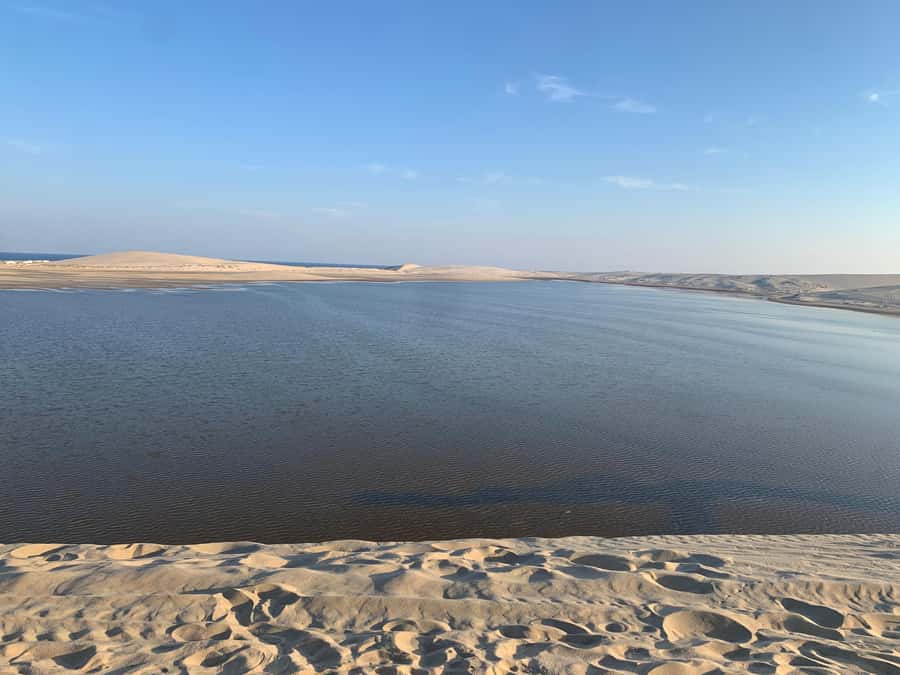 Doha: Safari | Inland Sea Tour | Camel Ride | Sandboarding - Sealine Beach, Mesaieed: Your Camel Ride and Photo Stops