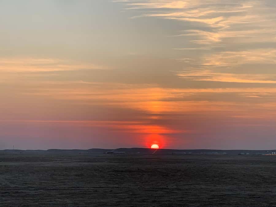 Doha: Safari | Inland Sea Tour | Camel Ride | Sandboarding - Dune Bashing for 40 Minutes, the Real Thrill Moment