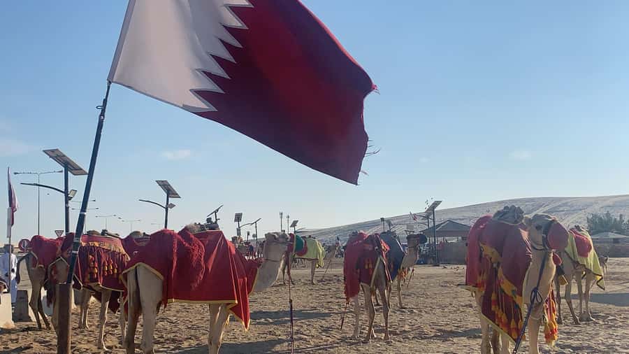 Doha: Safari | Inland Sea Tour | Camel Ride | Sandboarding - Getting Picked Up in Doha, Then Getting Out of Town Fast
