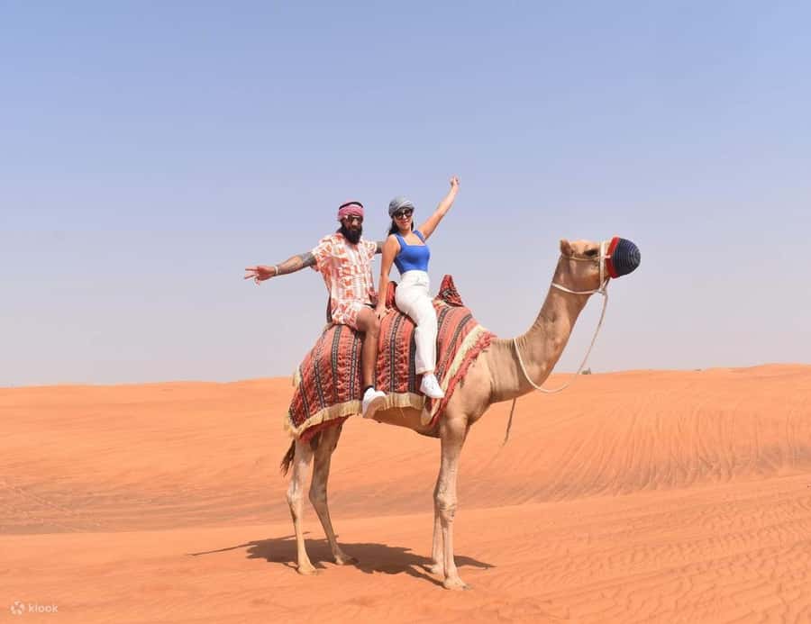 Doha Safari Quadbike, CamelRide, Sandboarding & Inland Sea - Who This Safari Is Best For (And Who Should Rethink It)