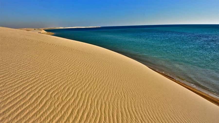Doha Safari Quadbike, CamelRide, Sandboarding & Inland Sea - Should You Book This Doha Quad Bike, Camel Ride, Sandboarding and Inland Sea Tour?