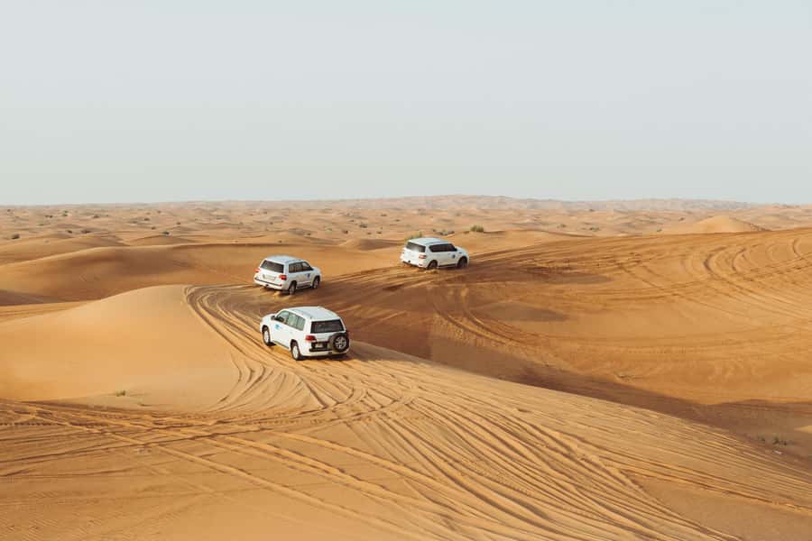 Doha:Safari Tour with Lunch/Dinner in Desert by the Sea Side - Price and value: what $265 includes (and why it can be fair)