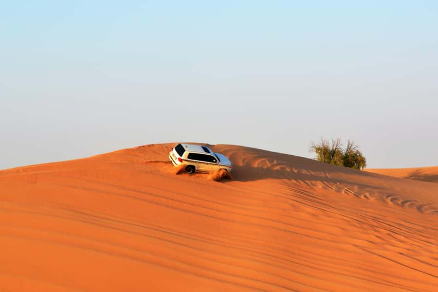 Doha:Safari Tour with Lunch/Dinner in Desert by the Sea Side - Who should book this safari, and who should skip it