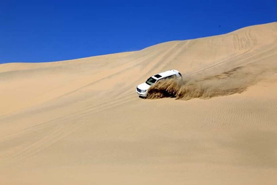 Doha Safari with Camel Ride, Inland Sea & Hotel Transfer - Dune Bashing in a 4x4: The Main Event