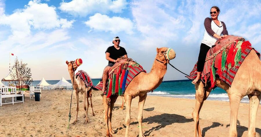 Doha Safari with Camel Ride, Inland Sea & Hotel Transfer - Sandboarding: The Fun Between the Big Thrills
