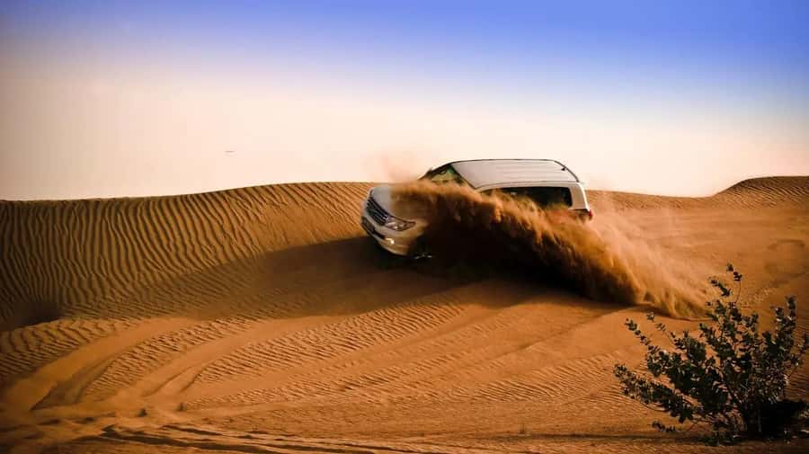 Doha: Shared Desert Safari, Sandboarding, Camel Ride - Key highlights at a glance