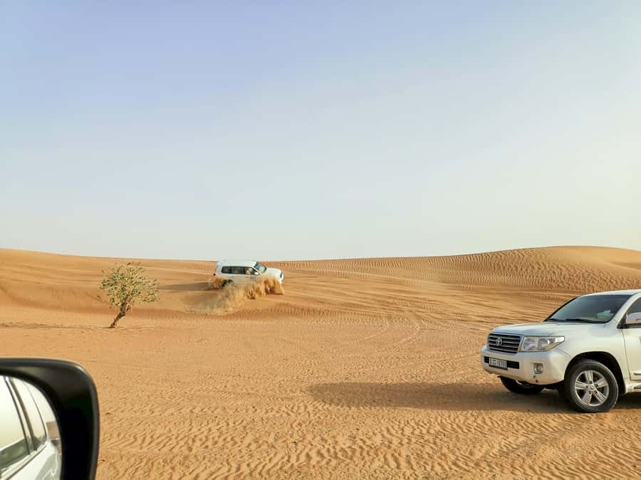 Doha: Shared Desert Safari, Sandboarding, Camel Ride - Dune bashing: the 4x4 thrill that feels both wild and controlled
