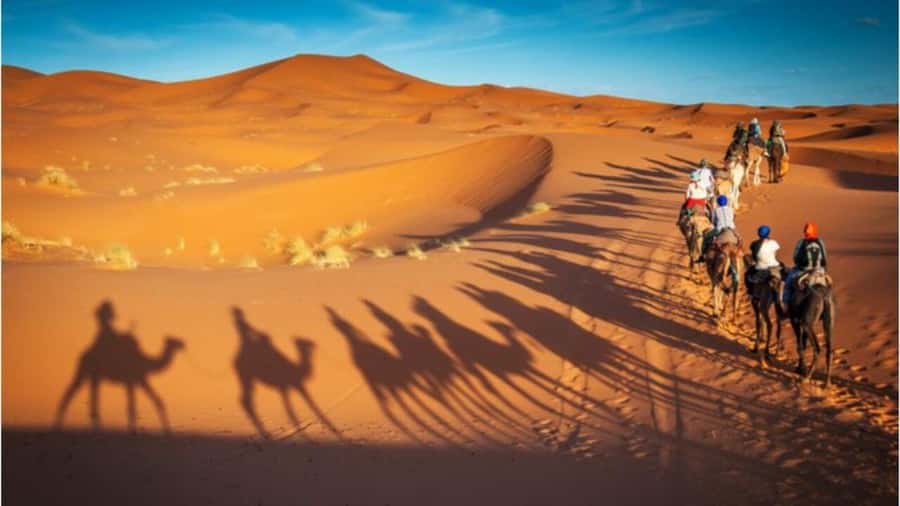 Doha: Shared Desert Safari, Sandboarding, Camel Ride - Sandboarding: sliding down dunes, not pretending it is snow