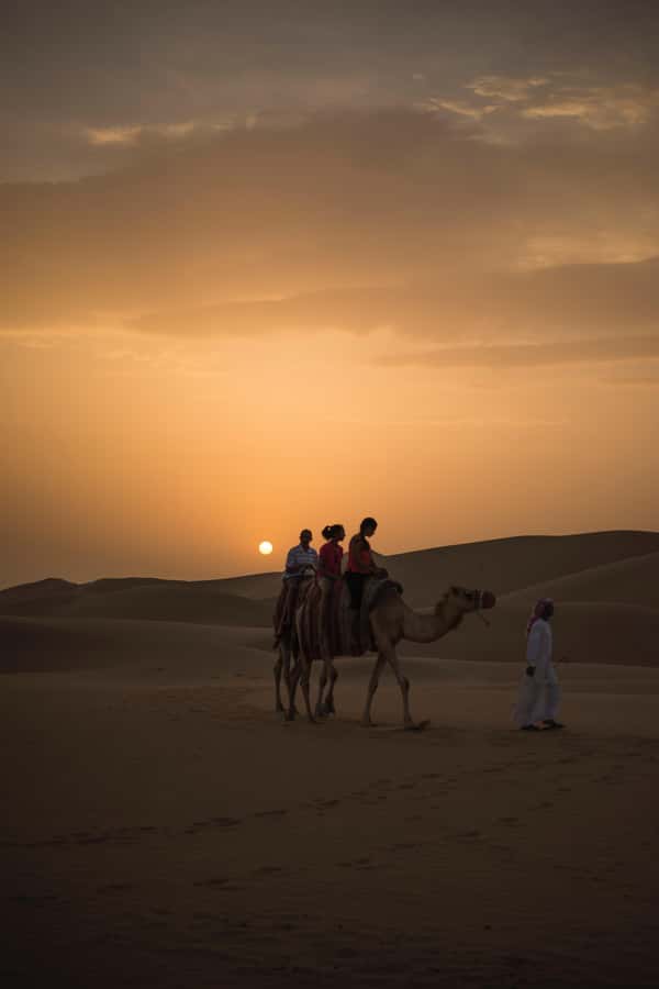 Doha: Shared Desert Safari, Sandboarding, Camel Ride - Guides matter: Zubair, Nawaz, and Kash as the kind of driver you hope for