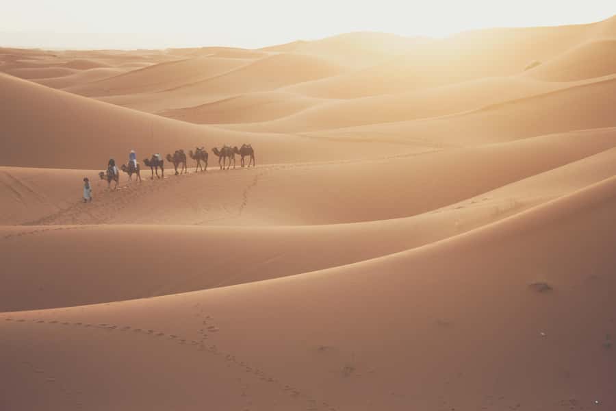Doha: Shared Desert Safari, Sandboarding, Camel Ride - Who this shared desert safari fits best