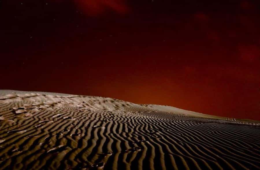 Doha: Stargazing Desert Safari w/ Dune Bashing & Camel Ride - Khor Al Udaid and the seaside night views