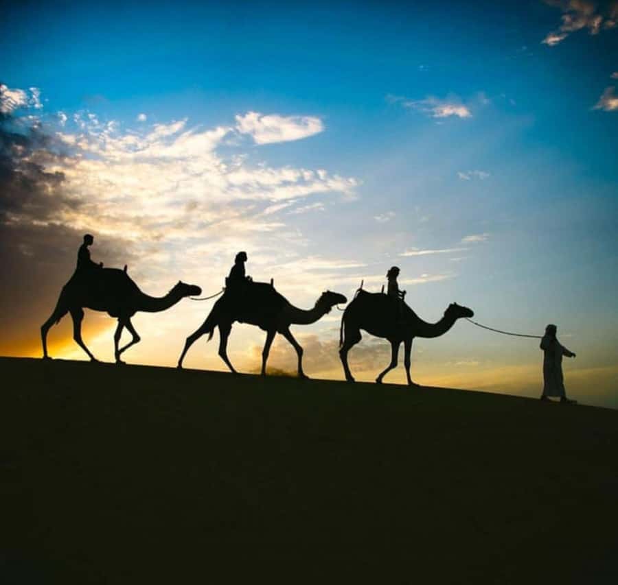 Doha: Stargazing Desert Safari w/ Dune Bashing & Camel Ride - Getting picked up in Doha and settling into the 4x4 rhythm