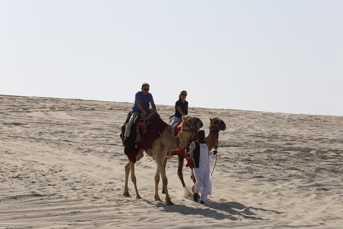 Doha; Sunrise Desert Tour and camel safari 4hrs - Price and value: what $75 buys in a short, busy day