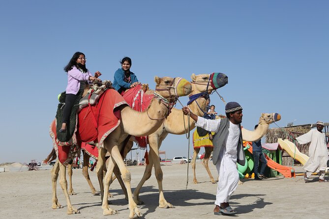 Doha; Sunrise Desert Tour and camel safari 4hrs - Who this tour suits best