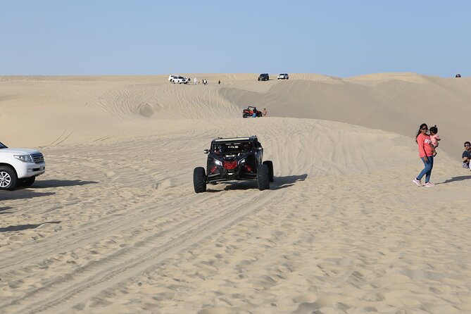 Doha; Sunrise Desert Tour and camel safari 4hrs - Dune driving that feels safer than you expect