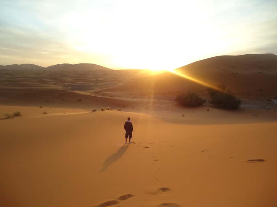 Doha:Sunrise or Sunset Desert Safari Tour with Sand Boarding - 4x4 Dune Bashing: The Part That Feels Like a Rollercoaster