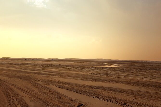 Doha: Sunrise /Sunset Desert Safari with Sand Boarding,Camel ride - Sand Boarding: Included Fun Without the Extra Ticket