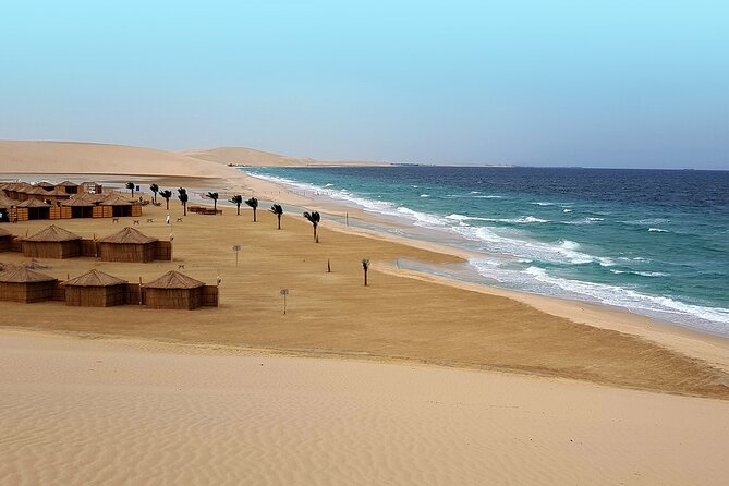 Doha: Sunrise /Sunset Desert Safari with Sand Boarding,Camel ride - Sunrise vs Sunset: Pick the Mood That Fits Your Body Clock