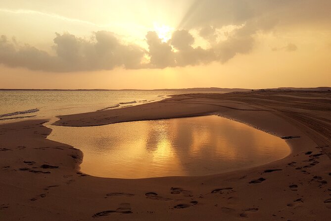 Doha: Sunrise /Sunset Desert Safari with Sand Boarding,Camel ride - Sealine Beach Camel Camp and Tea: A Gentle Start Before the Rolls