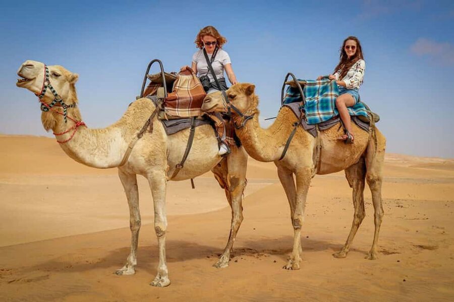Doha: Sunset Desert Safari, ATV, Camel Ride and Sandboarding - What’s Included, and How That Impacts Value