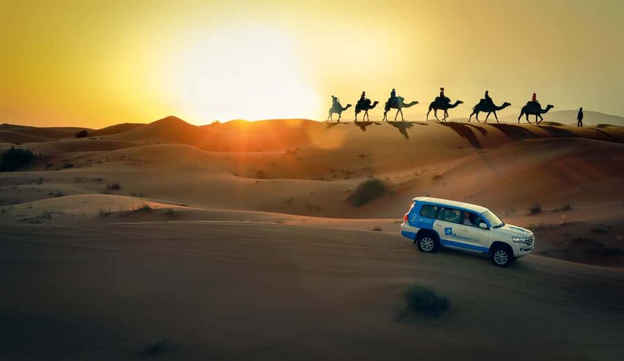Doha: Sunset Desert Safari, ATV, Camel Ride and Sandboarding - Dune Bashing: The Part You’ll Feel in Your Stomach