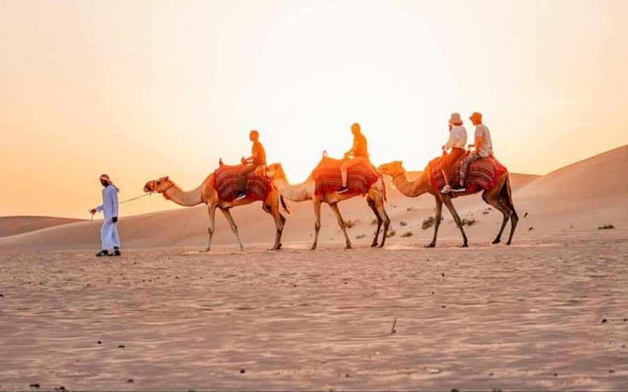 Doha: Sunset Desert Safari with Camel Ride & Sandboarding - Entering the desert from Doha, without a full day commitment