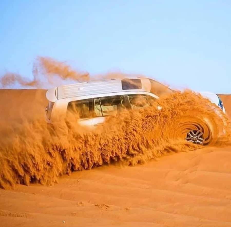Doha: Sunset Desert Safari with Camel Ride & Sandboarding - Who this safari is best for
