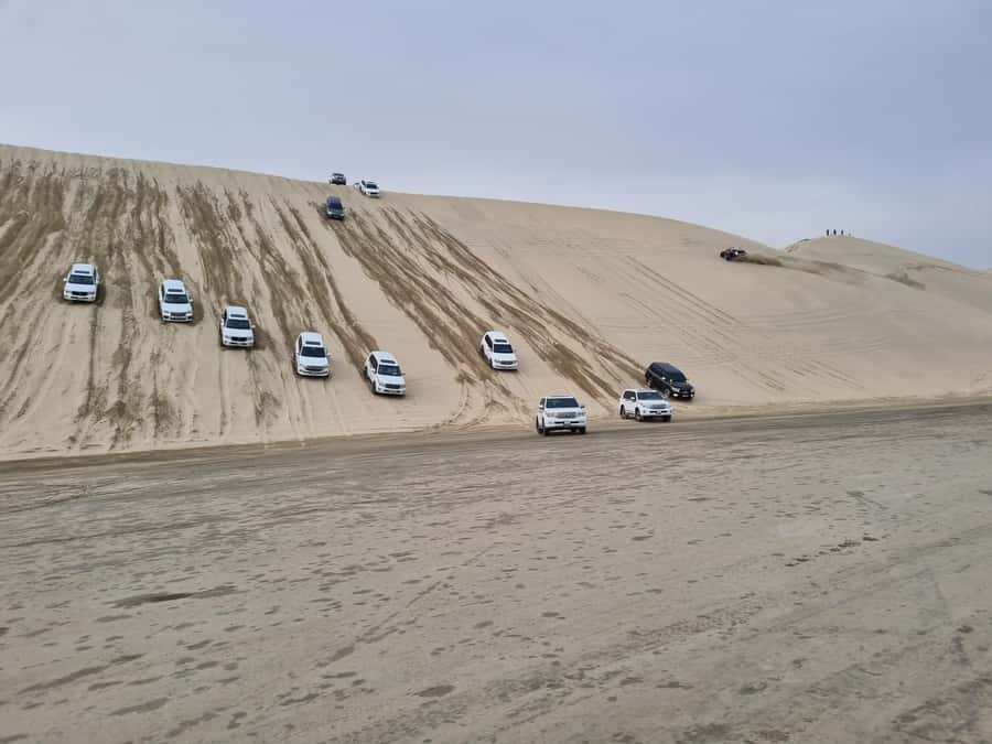 Doha: Sunset desert tour with Camel Ride, Inland Sea & Tea - Key things that make this tour worth your time