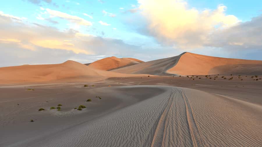 Doha: Sunset Safari, Dune Bashing, Sandboarding & Camel Ride - Sandboarding: the activity that usually steals the show