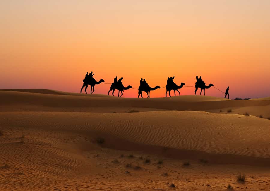 Doha: Sunset Safari, Dune Bashing, Sandboarding & Camel Ride - How the sunset stop works (and how to make it worth it)