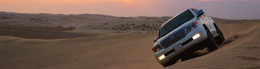 Doha: Thrilling 4x4 Desert Safari, Inland Sea-All Activities - What the tour includes, and what you may want to add
