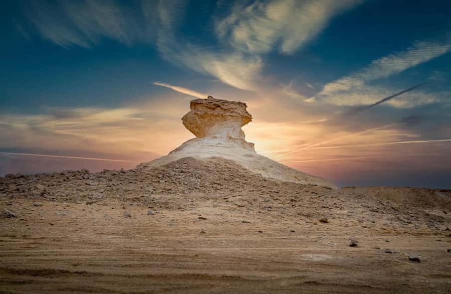 Doha: West Coast Qatar Tour, Sculptures, Camel Racing track - Al Shahaniya Camel Racetrack: More Than a Drive-By Photo