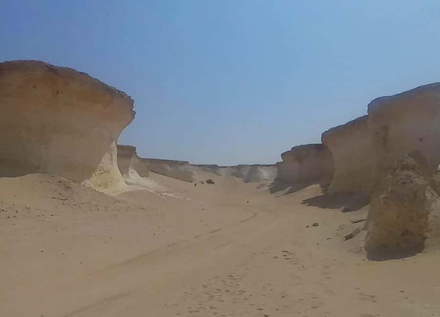 Doha: West Coast Qatar Tour, Sculptures, Camel Racing track - Umbrella Rock Mountain: Roadside Angles Worth Slowing Down For