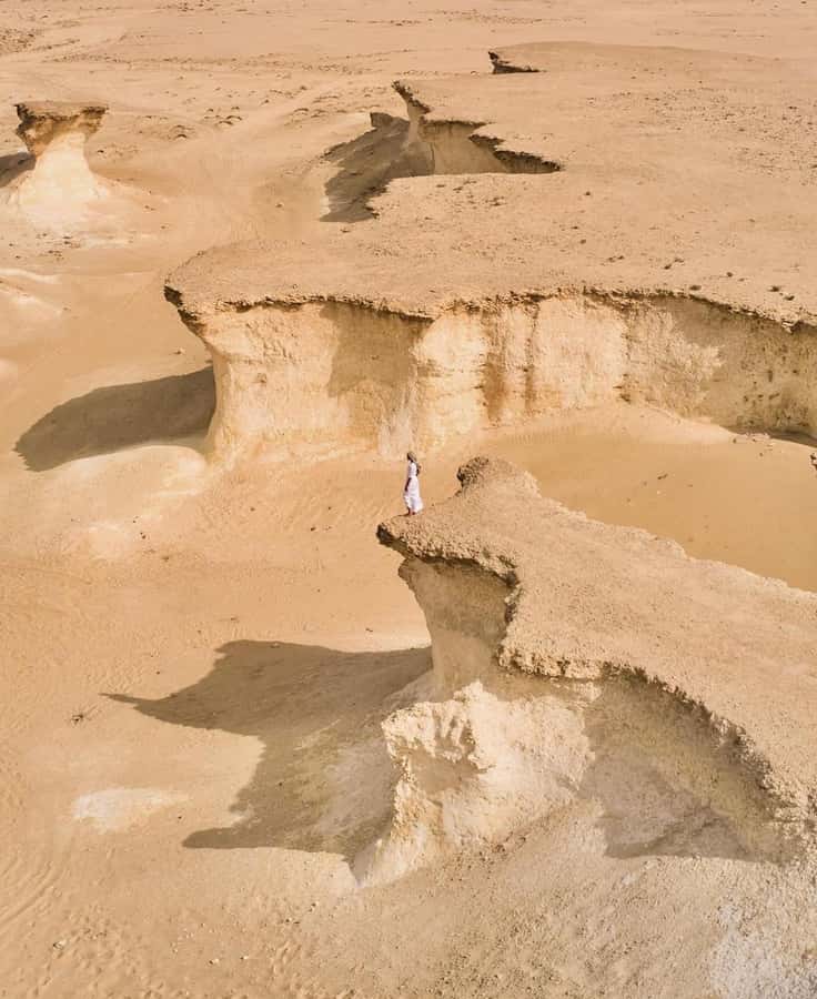 Doha: West Coast Qatar Tour, Sculptures, Camel Racing track - Price and Value at $35 Per Person